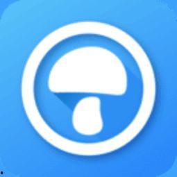 福利视频在线导航轻量版,轻松畅享海量资源